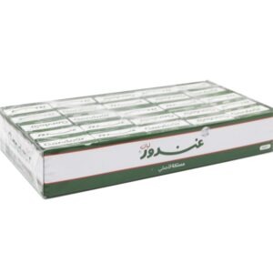 GANDOUR CHEWINGUM MASTICA BIG 75P*36 OTR*202 GM | علك غندور فواكه مستكه 75حبه*36 باكت*202 جرام