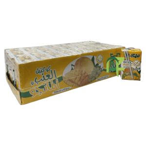 ALRAI MANGO JUICE 27P*250ML | عصير الري مانجو 27حبه*250 مل