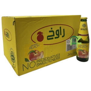 RAUCH PEACH DRINK 24P*250ML | راوخ خوخ فوار صغير 24حبه*250مل