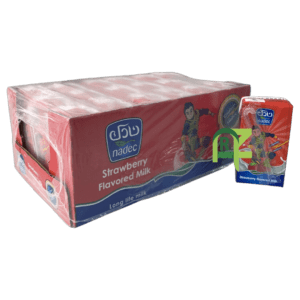 NADEC STRAWBERRY MILK 18P*125ML | حليب نادك فراولة 18حبه*125مل