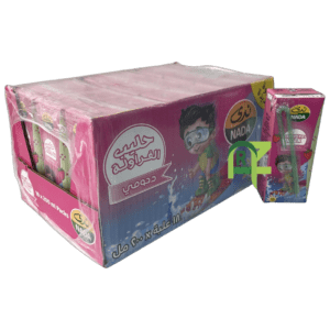 NADA DAHOOMY STRAWBERRY MILK 18P*200ML | حليب ندى فراولة دحومي 18حبه*200مل